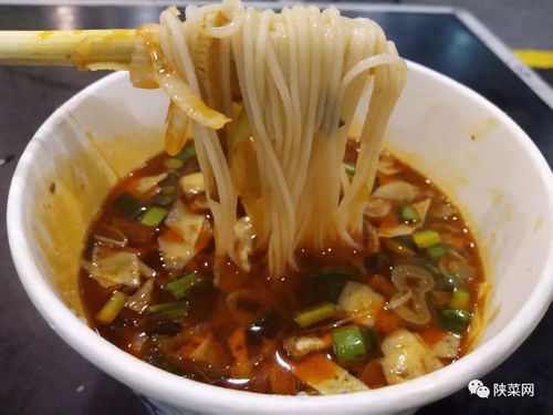 三秦美食大聯(lián)歡 陜西官府菜首展照亮杭州，西安餐飲管理引領(lǐng)風(fēng)味新篇
